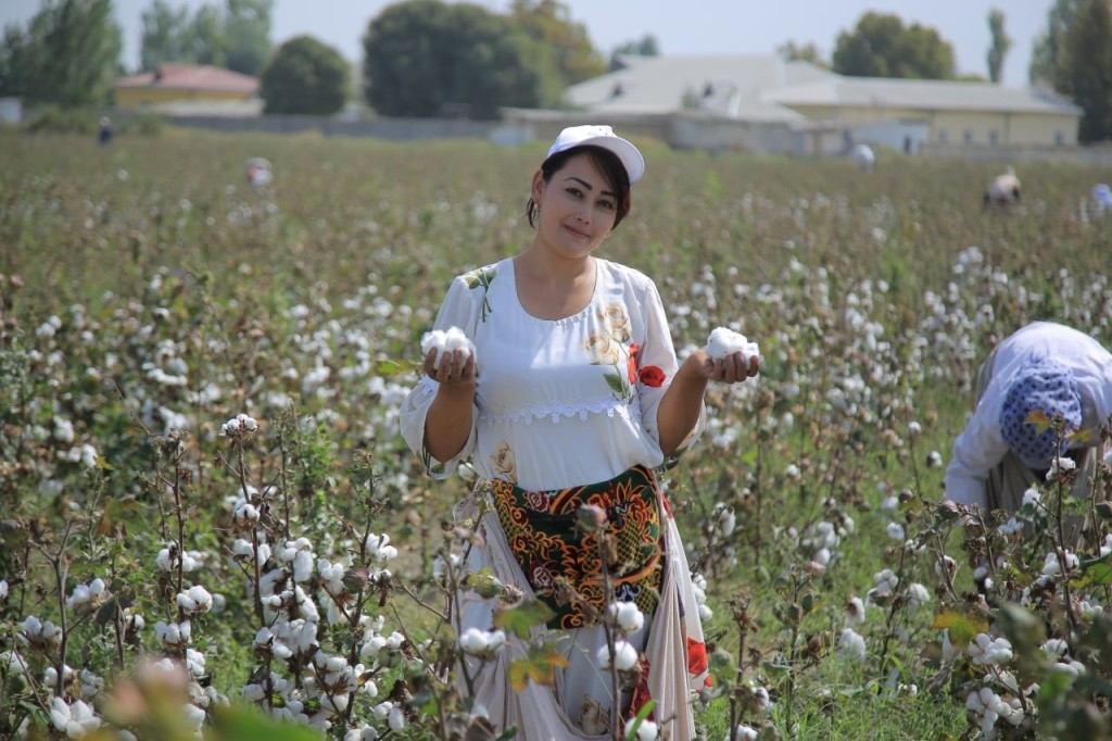 Farmers and textile clusters of Uzbekistan will be supported by loan compensation